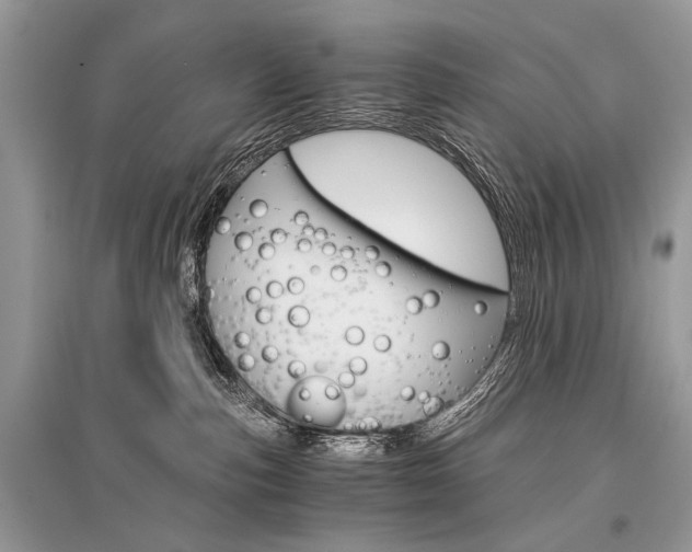 X0000096380187200801241012