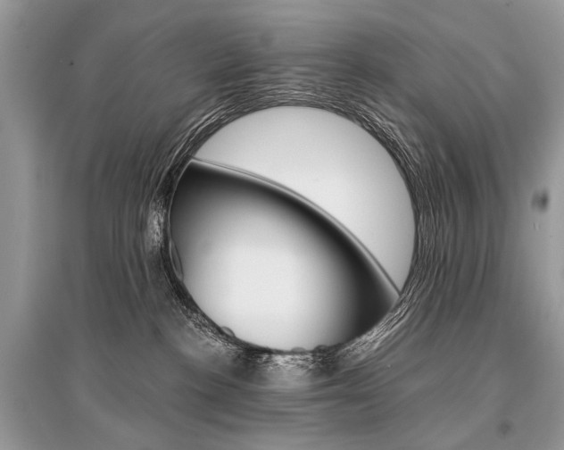 X0000096380188200801241012