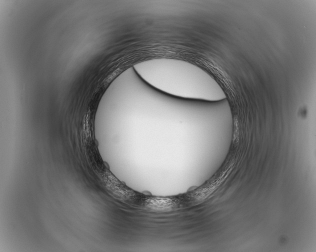 X0000096380189200801241012