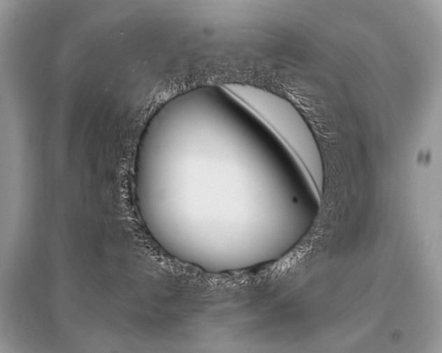X0000096380192200801241012