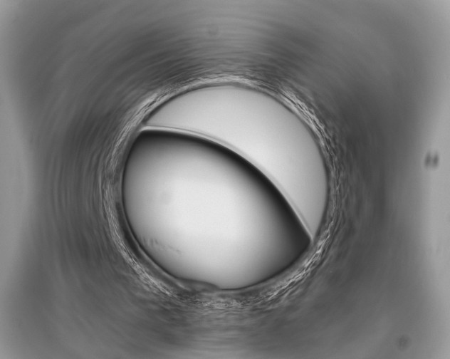 X0000096380193200801241011