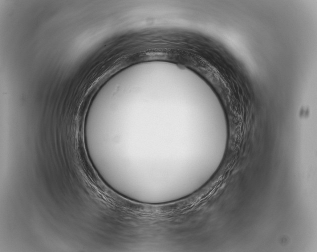 X0000096380194200801241011