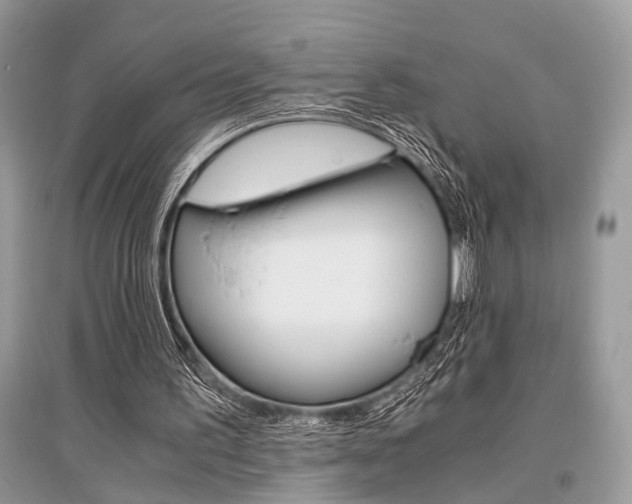 X0000096380195200801241011