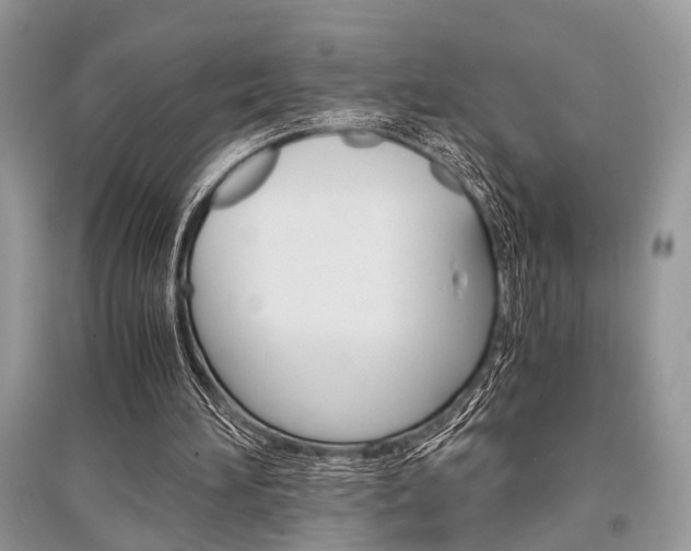 X0000096380196200801241011