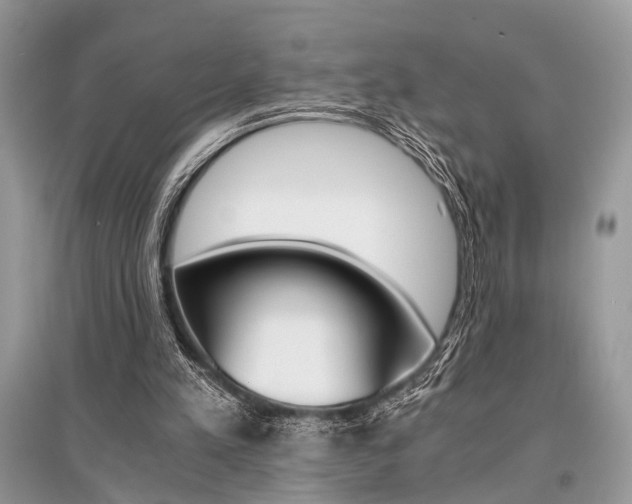 X0000096380197200801241011