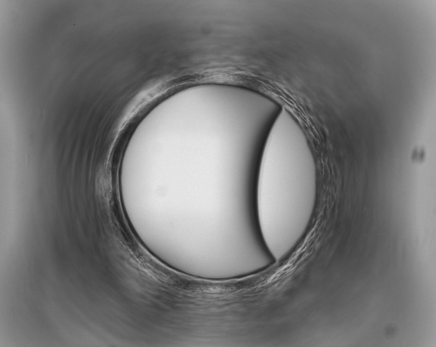X0000096380198200801241011