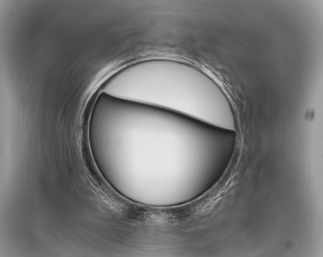 X0000096380199200801241011