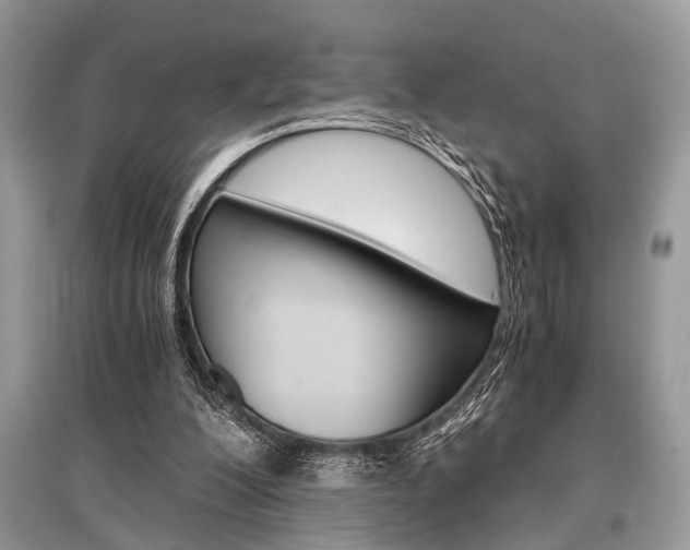 X0000096380200200801241011