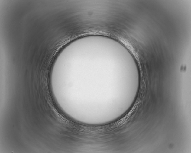 X0000096380201200801241011