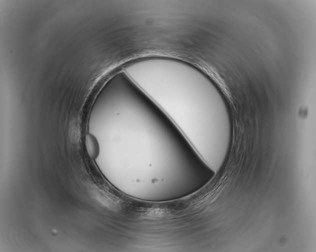 X0000096380204200801241011
