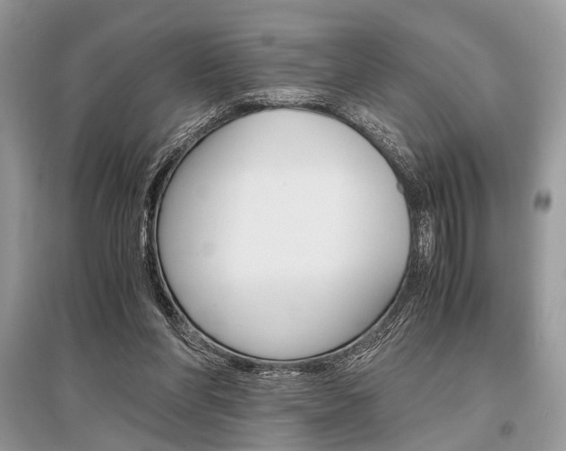 X0000096380206200801241011