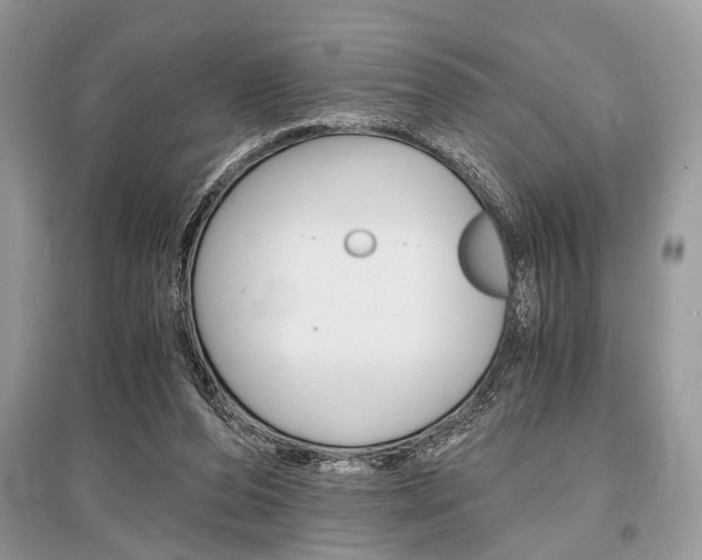 X0000096380208200801241011