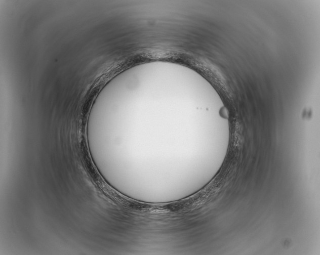 X0000096380210200801241011