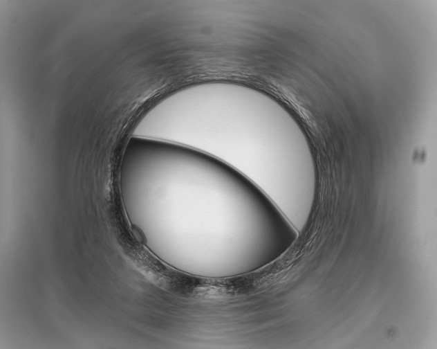 X0000096380211200801241011