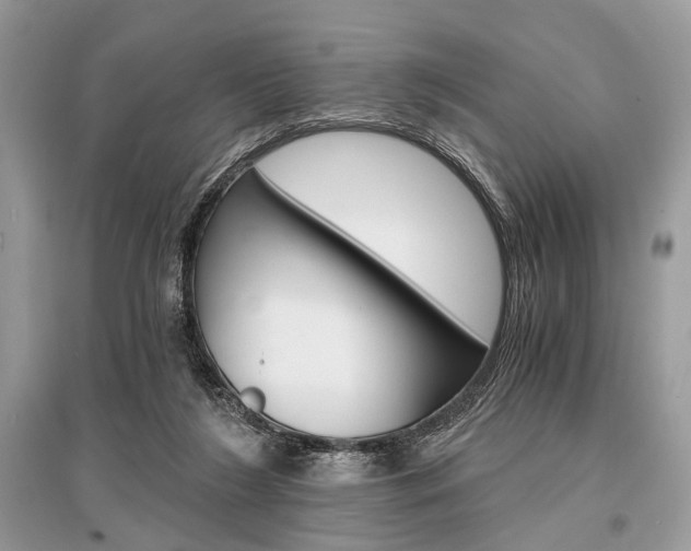 X0000096380212200801241011