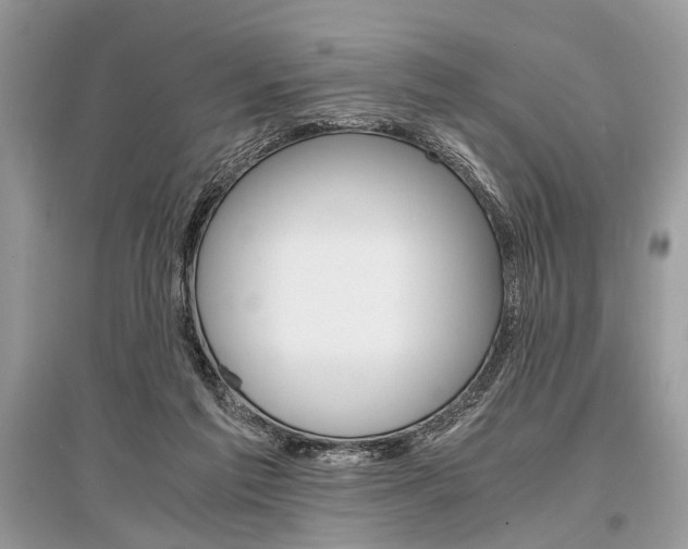 X0000096380213200801241011