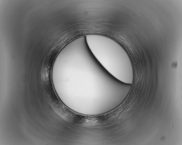 X0000096380214200801241011