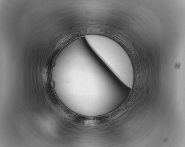 X0000096380216200801241011
