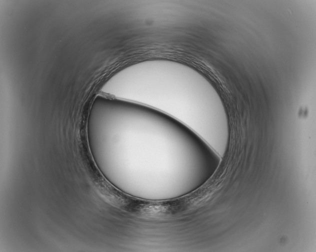 X0000096380217200801241011