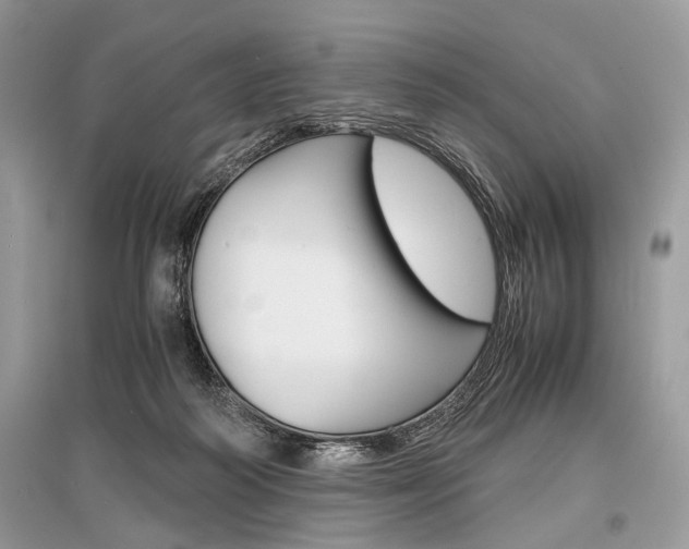 X0000096380218200801241011