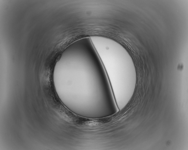 X0000096380219200801241011