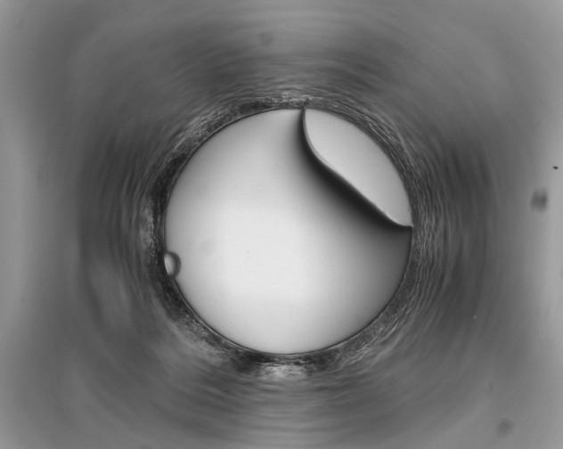 X0000096380220200801241011