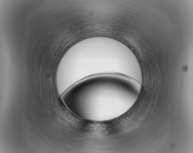 X0000096380221200801241011