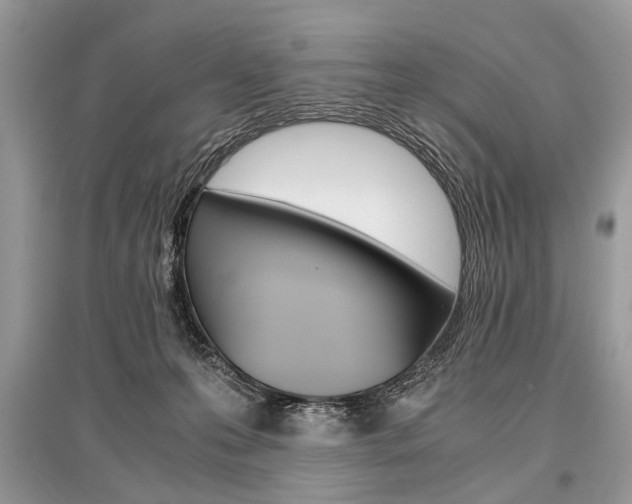 X0000096380223200801241011