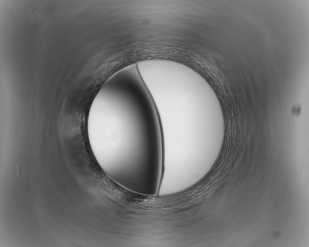 X0000096380225200801241011