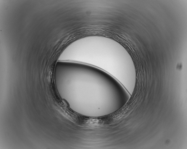 X0000096380227200801241011