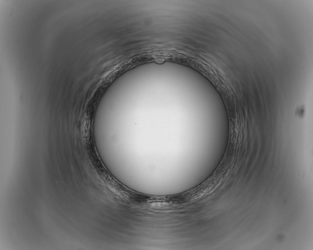 X0000096380228200801241011