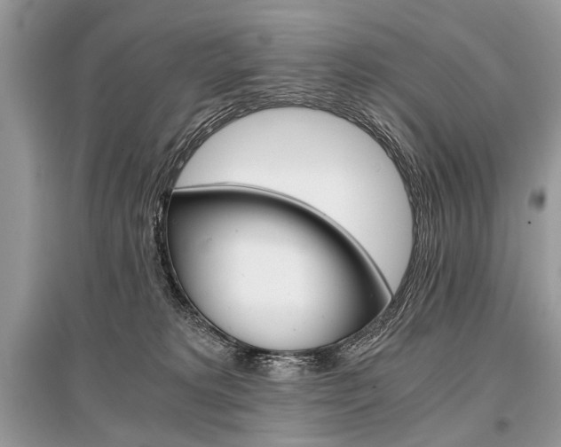 X0000096380229200801241011