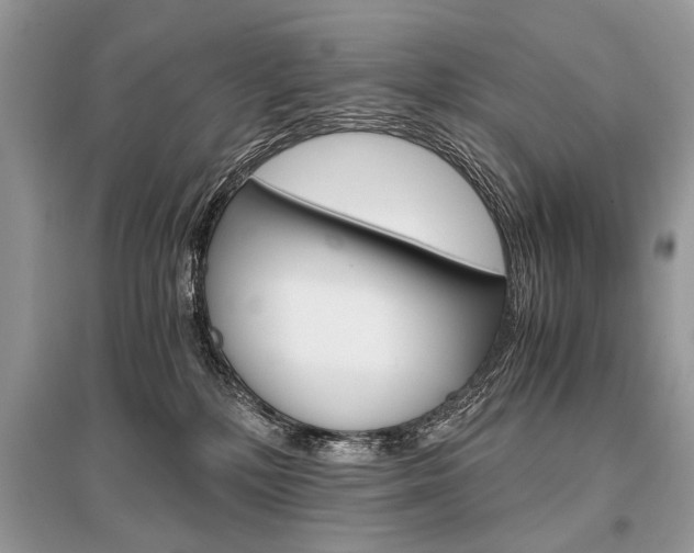X0000096380232200801241011