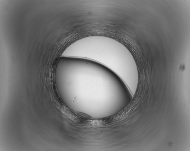 X0000096380233200801241011