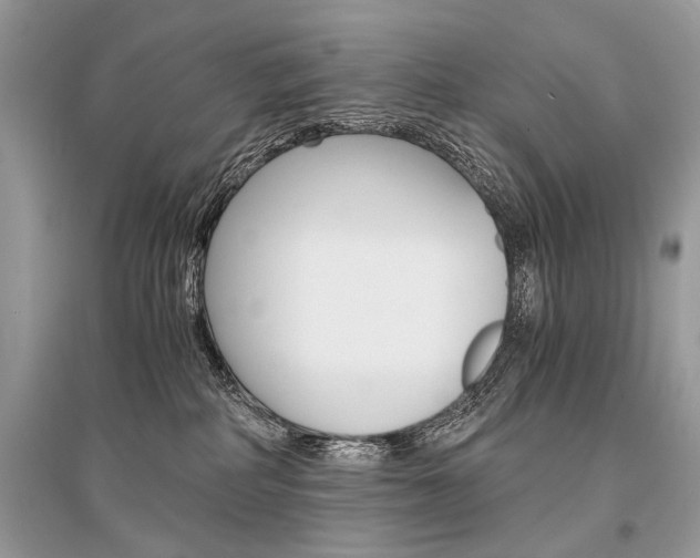 X0000096380234200801241011