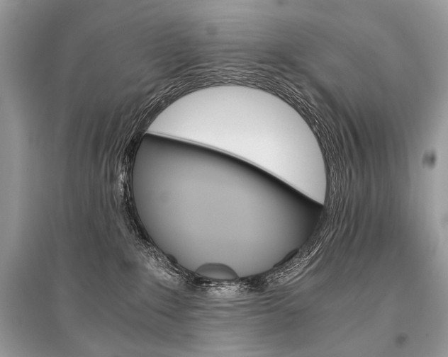 X0000096380235200801241011