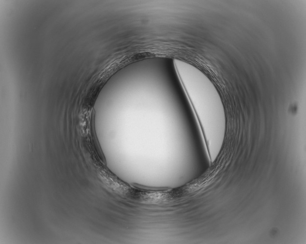 X0000096380237200801241011