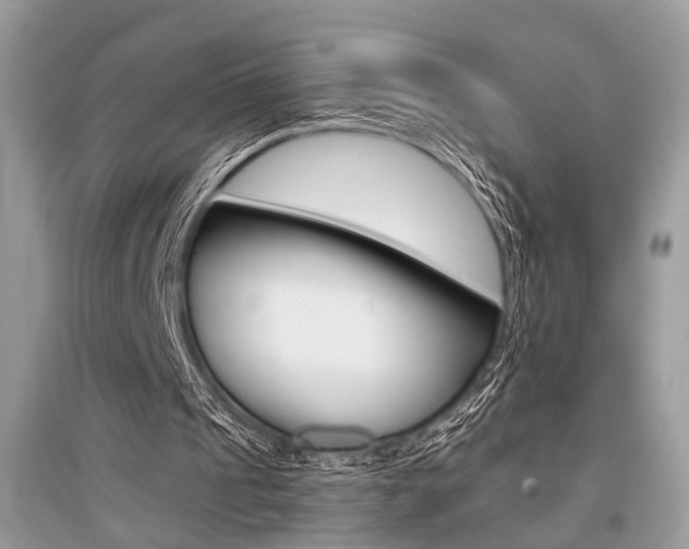 X0000096380241200801241010