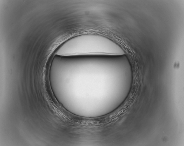 X0000096380242200801241010
