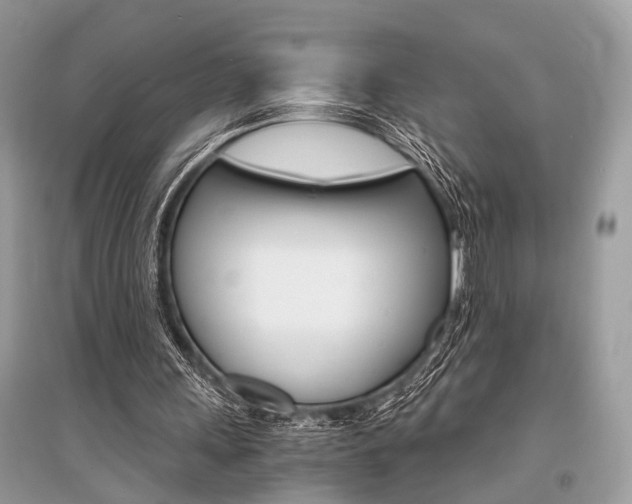 X0000096380243200801241010