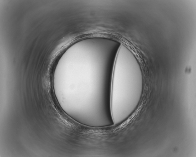 X0000096380245200801241010