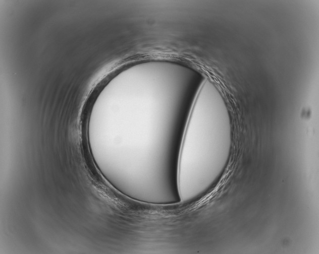 X0000096380246200801241010