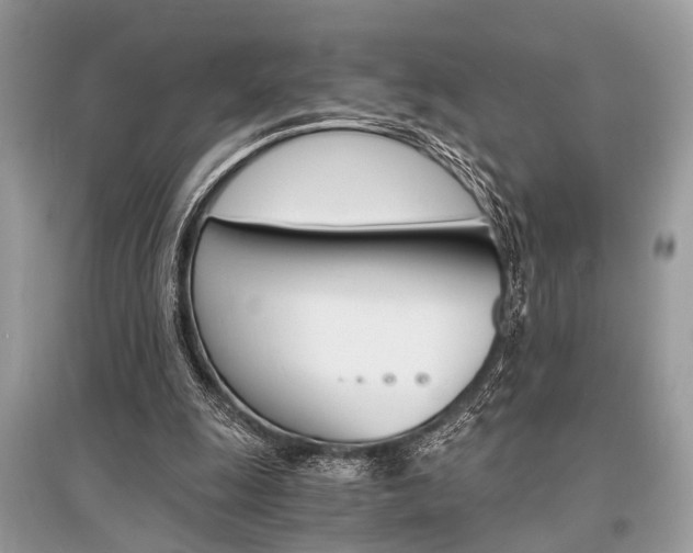 X0000096380247200801241010