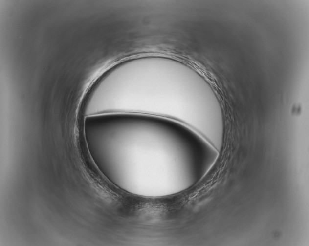 X0000096380248200801241010