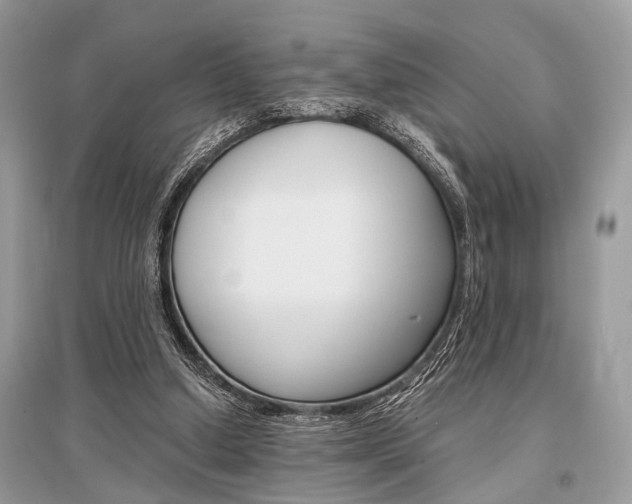 X0000096380250200801241010