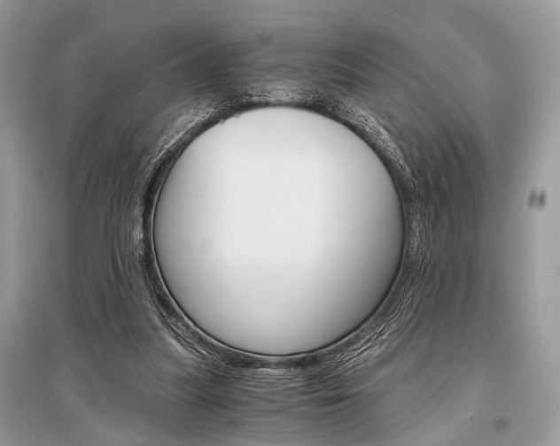 X0000096380251200801241010