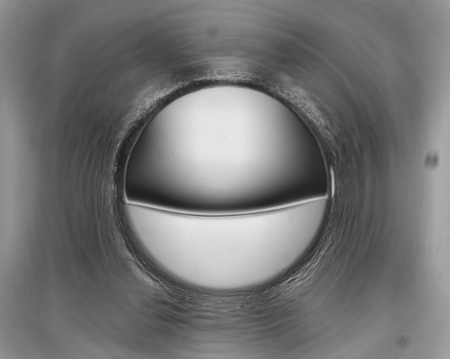 X0000096380252200801241010