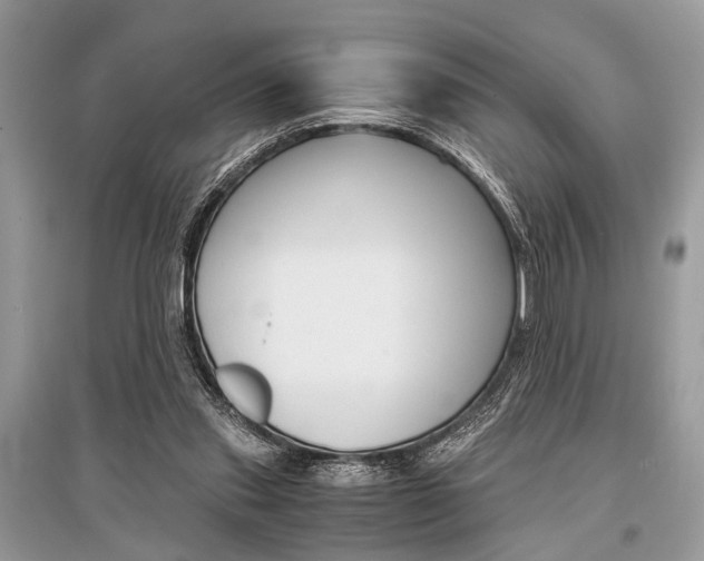 X0000096380253200801241010