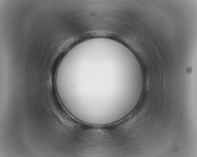 X0000096380254200801241010