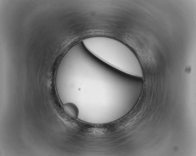 X0000096380255200801241010